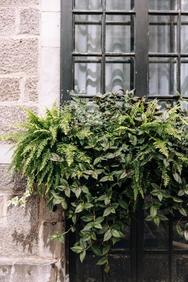 Maison Sainte-therese By Maisons & Co Montreal